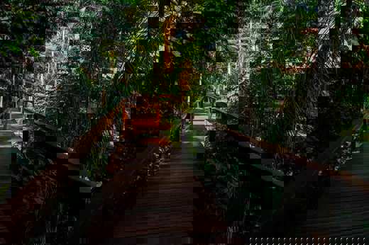Walkway 