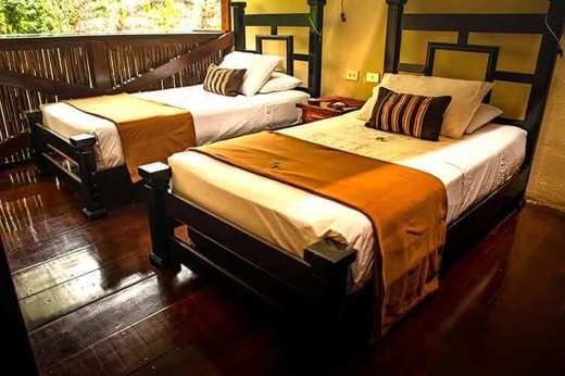 Twin room at a Tambopata Amazon lodge with jungle views. 