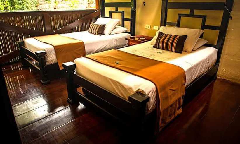 Twin room at a Tambopata Amazon lodge with jungle views. 