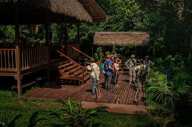 The meeting point for treks into the rainforest