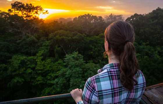 A guest takes in the sunrise above the treetops from a canopy tower in Peru's Amazon rainforest. 