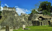 Site archéologique de Tikal Guatemala 