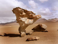 Stone tree