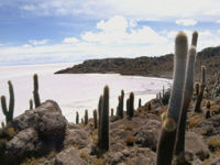 Salar E Isla Pescado