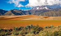 Montagnes andines en Bolivie