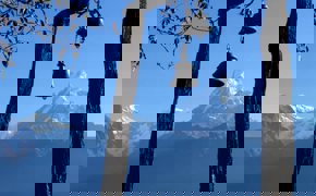 Image 22