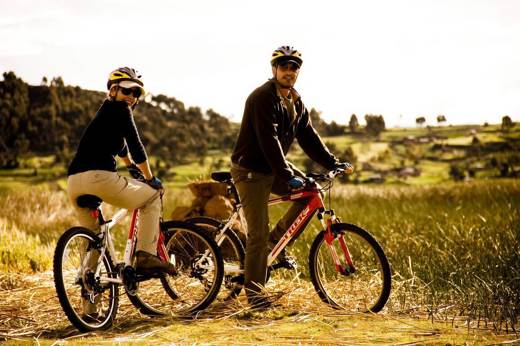 Bikes
