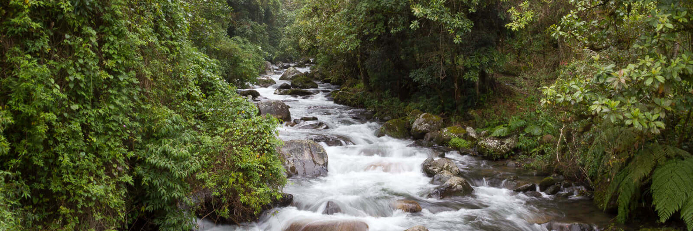 Parc national de Boquete 