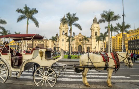 Horse-drawn carriage in Lima's Plaza de Armas with the cathedral and palm trees in view. 