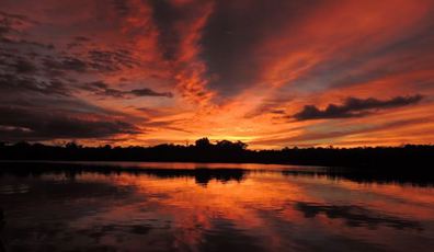 Stunning sunrise over the Amazon River, with vibrant orange and red hues reflecting across the calm water. 