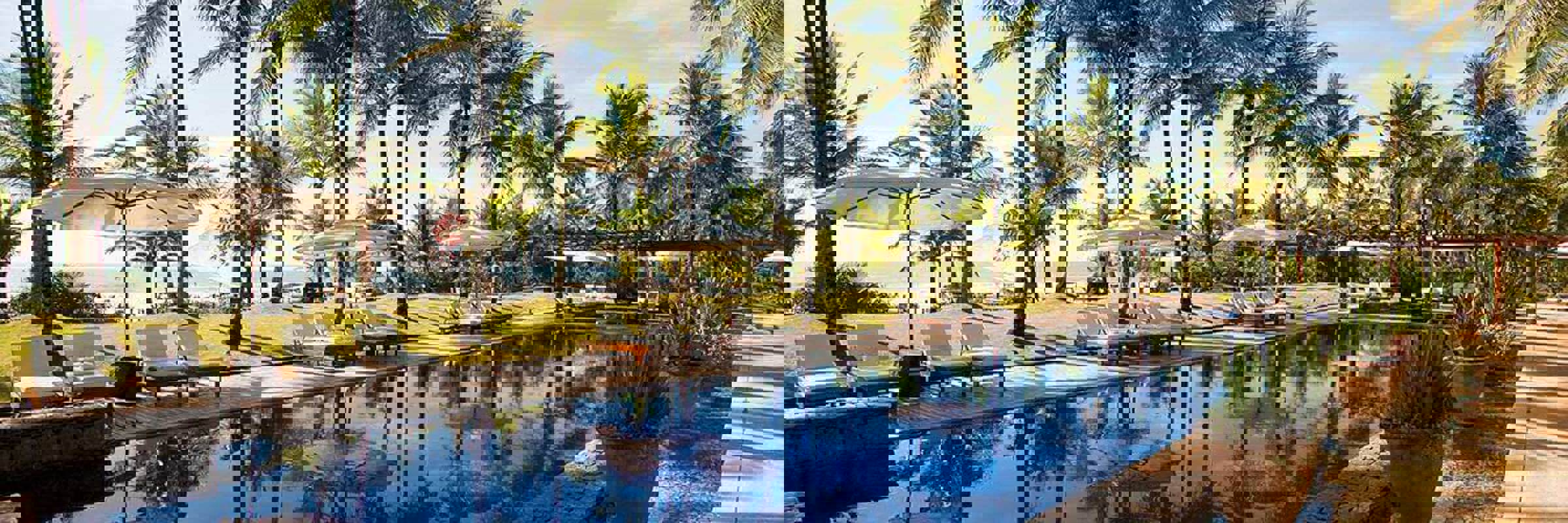 Palm trees and luxury pool by the beach