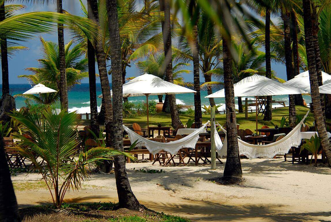 Beach hammocks under palm trees with ocean view and sun loungers at a resort in Praia do Forte, Bahia, Brazil. 