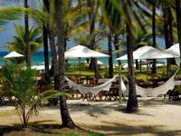 Beach hammocks under palm trees with ocean view and sun loungers at a resort in Praia do Forte, Bahia, Brazil. 