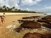 Couple walking along Itacarezinho Beach, Bahia, Brazil, with palm trees and rocky shoreline at low tide. 