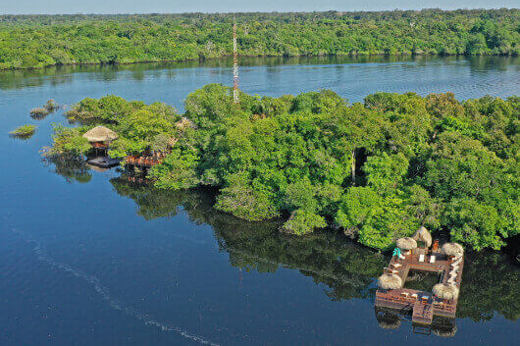Lodge in the rainforest wilderness  