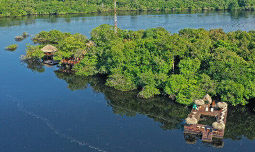 Lodge in the rainforest wilderness  
