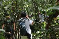 Tourists on a guided jungle walk exploring dense vegetation in the Amazon Rainforest, Brazil. 