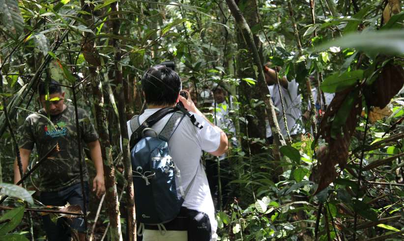 Tourists on a guided jungle walk exploring dense vegetation in the Amazon Rainforest, Brazil. 