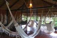 Relaxing hammock area under a thatched roof at Turtle Lodge, a jungle retreat in the Brazilian Amazon. 