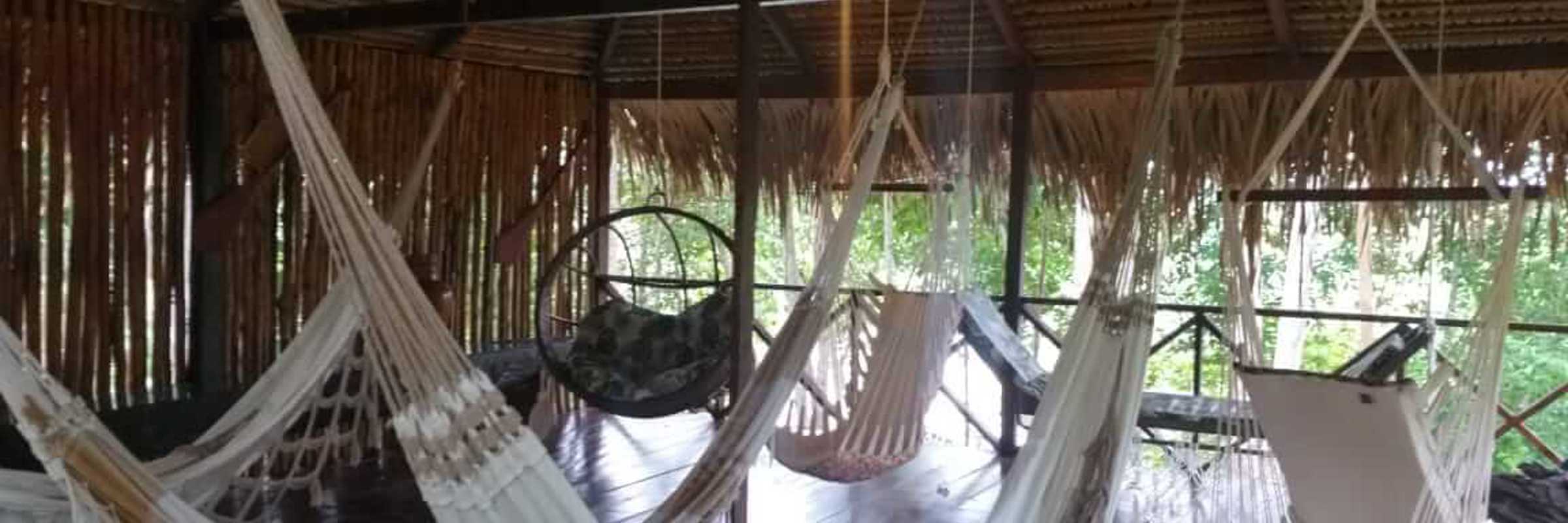 Relaxing hammock area under a thatched roof at Turtle Lodge, a jungle retreat in the Brazilian Amazon. 
