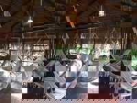 IMG 20200206 WA0030
