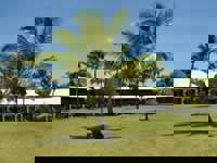PDF Building Palmtree Lawn