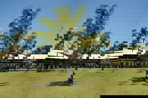 PDF Building Palmtree Lawn