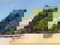 Beach Trees People