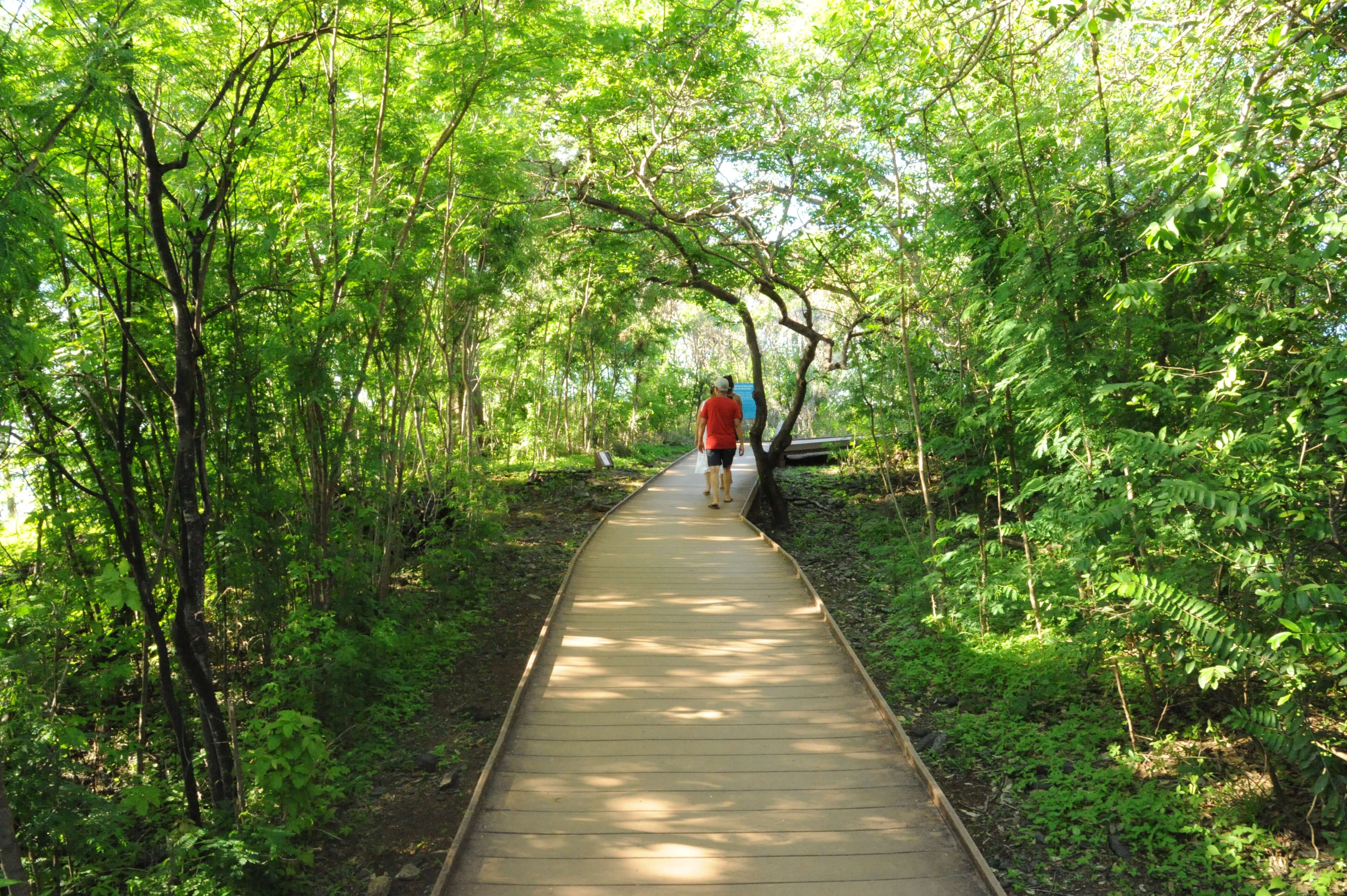 Wooden pathway through lush green jungle in Fernando de Noronha with two people walking ahead. 