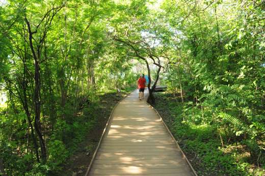 Wooden pathway through lush green jungle in Fernando de Noronha with two people walking ahead. 