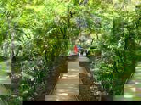 Jungle Walkway