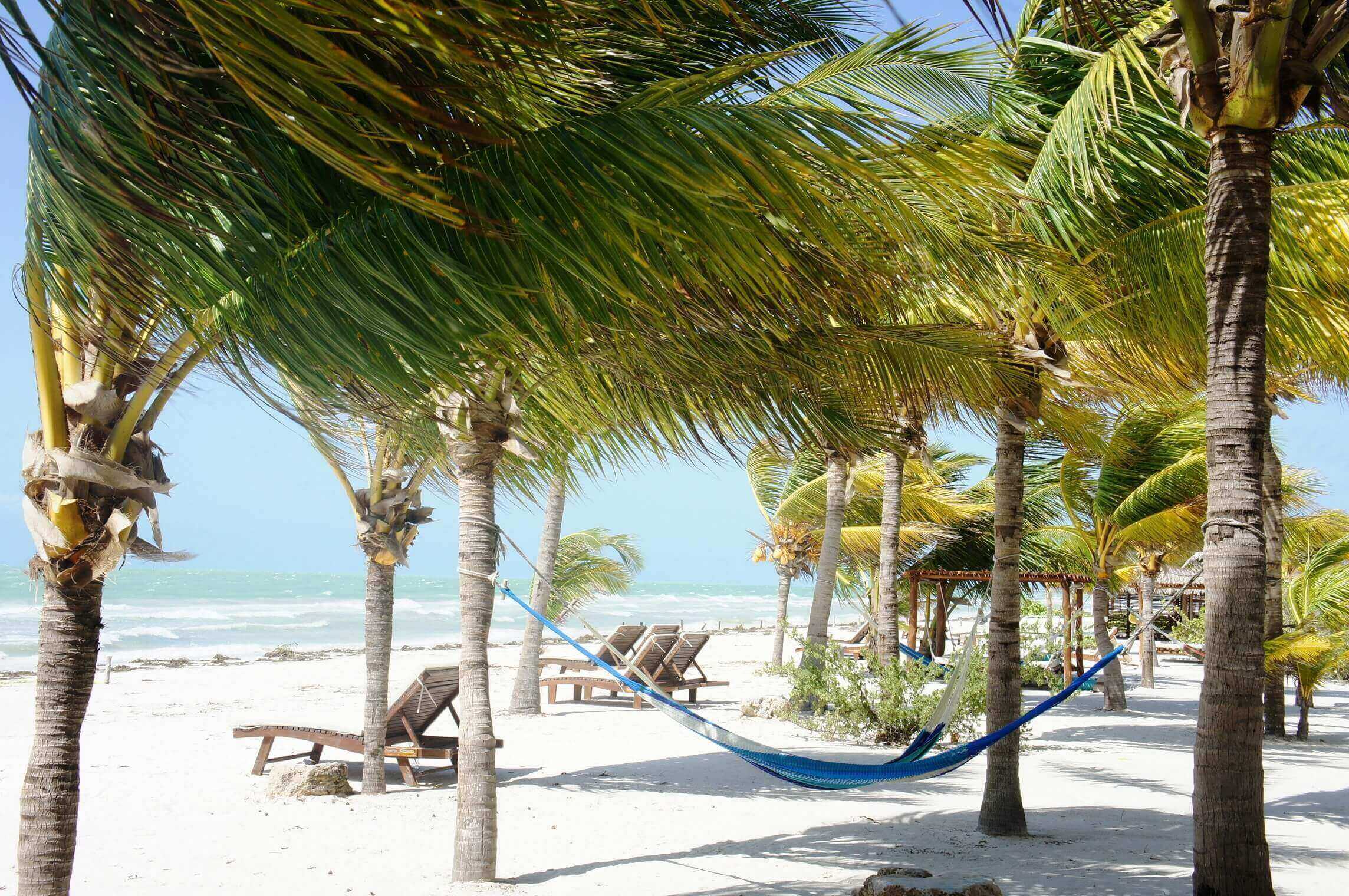 Relaxing hammock between palm trees on a white sandy Riviera Maya beach with lounge chairs and Caribbean Sea views. 