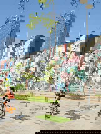 Murial Bicycle