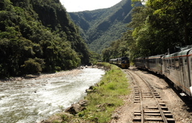 DSC 2962