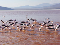 Bolivia Rita DSC05532