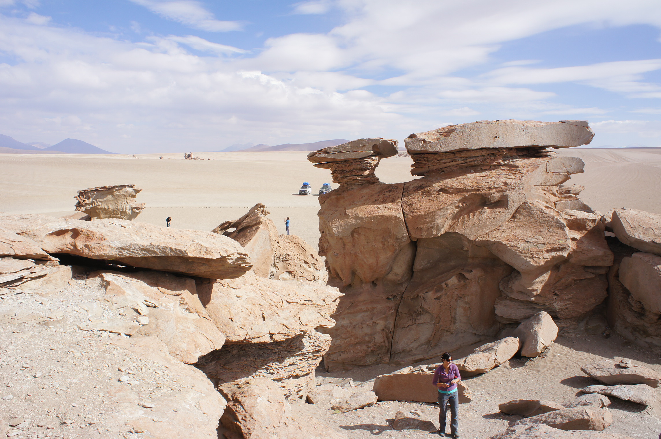Bolivia Altiplano & Salt Flats