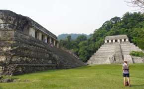 Ancient Mayan ruins at Palenque, Chiapas, Mexico, with the Temple of the Inscriptions and surrounding jungle backdrop. 