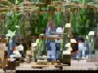Traditional Mayan Ritual