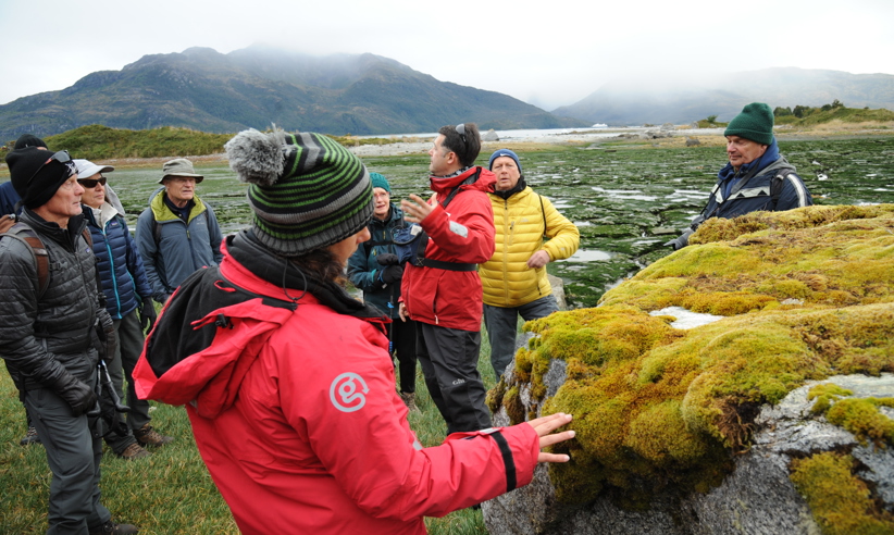 Expert-led nature walk in Tierra del Fuego, exploring moss-covered rocks and southern Patagonian landscapes. 