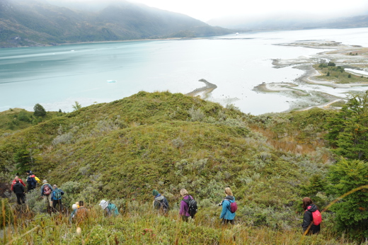 Hikers descend a lush green hillside toward a dramatic Patagonian coastline with glacial waters and misty mountains beyond. 