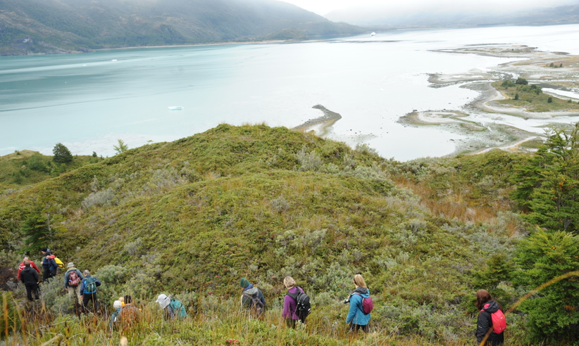 Hikers descend a lush green hillside toward a dramatic Patagonian coastline with glacial waters and misty mountains beyond. 