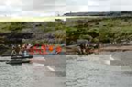 Zodiac landing near a penguin colony on the wild, green shores of southern Chile. 