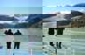 Tierra del Fuego expedition cruise
