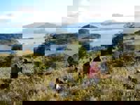 Cruise passengers hike through grassy hills overlooking the island-dotted fjords of Tierra del Fuego in southern Chile. 