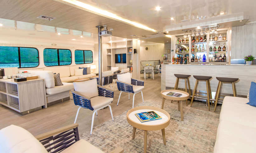 The comfortable lounge 