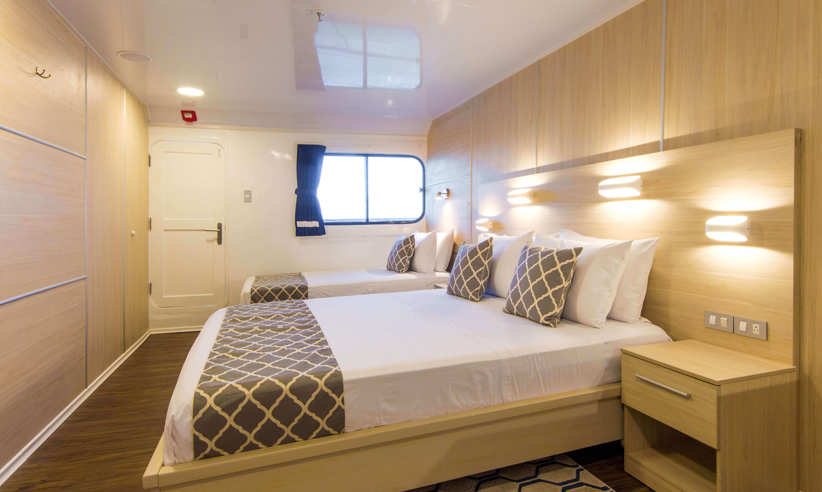 Upper deck double cabin