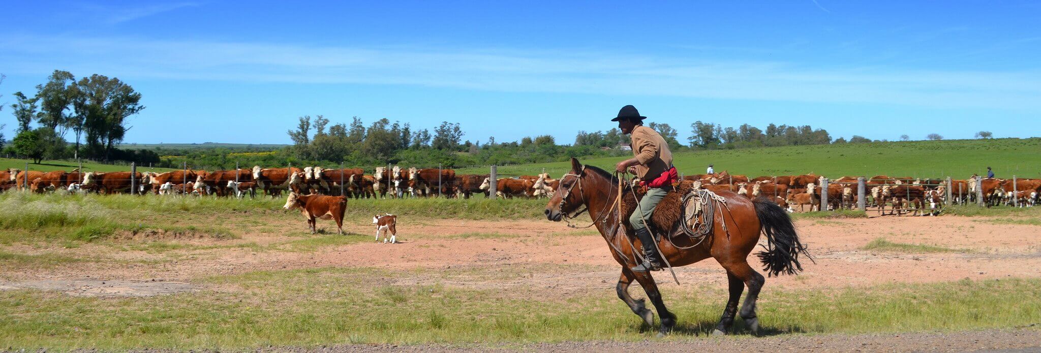 Estancia Gaucho