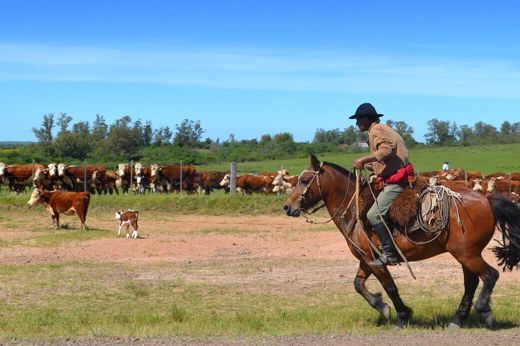 Estancia Gaucho