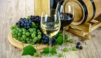 Dégustation de vins en Uruguay