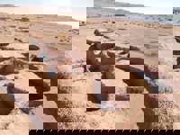 Ancient archaeological ruins in the Atacama Desert, showcasing early adobe structures and dry desert terrain. 